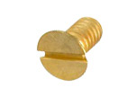 Brass Screw